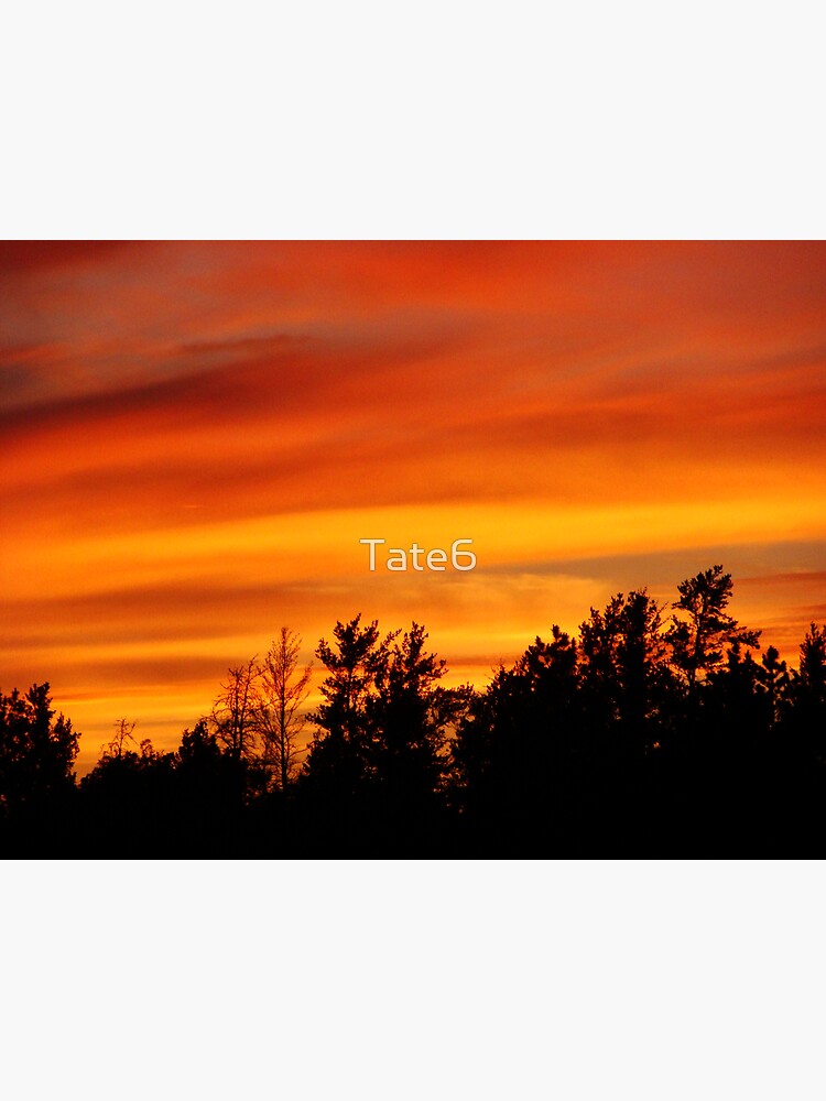 Nature's Watercolor by Tate6