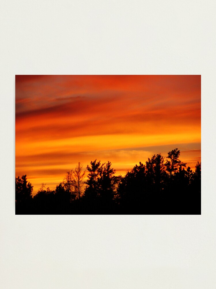 Alternate view of Nature's Watercolor Photographic Print