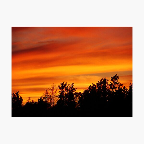 Nature's Watercolor Photographic Print