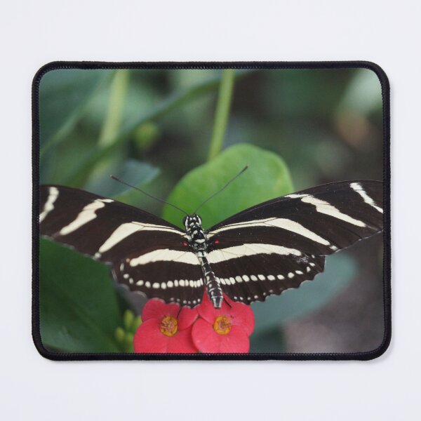 Item preview, Butterfly designed and sold by edenjoy-designs.
