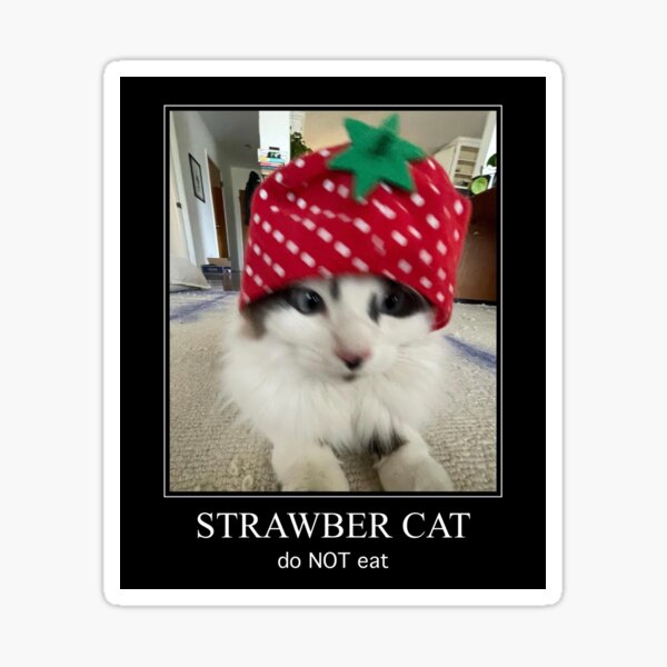 "Strawberry Cat" Sticker for Sale by freegoblinpics Redbubble