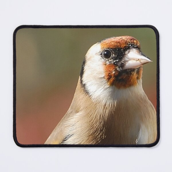 Item preview, Goldfinch model  designed and sold by Declan Carr.