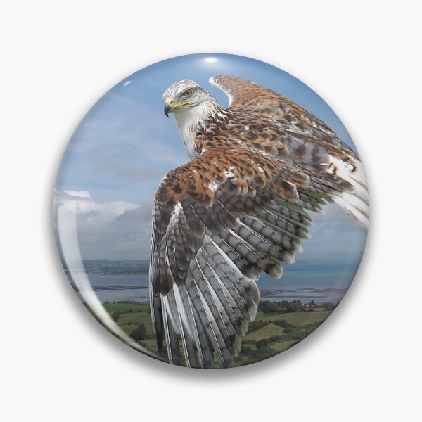 Item preview, The Red-tailed Hawk over Dungarvin Bay  designed and sold by Declan Carr.