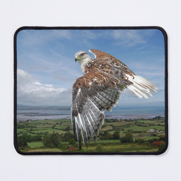 Item preview, The Red-tailed Hawk over Dungarvin Bay  designed and sold by Declan Carr.
