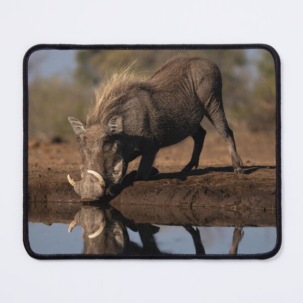 Item preview, Warthogs designed and sold by elissatitle.