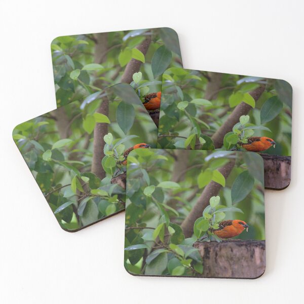 Item preview, Red bird in the forest designed and sold by thompsong03.