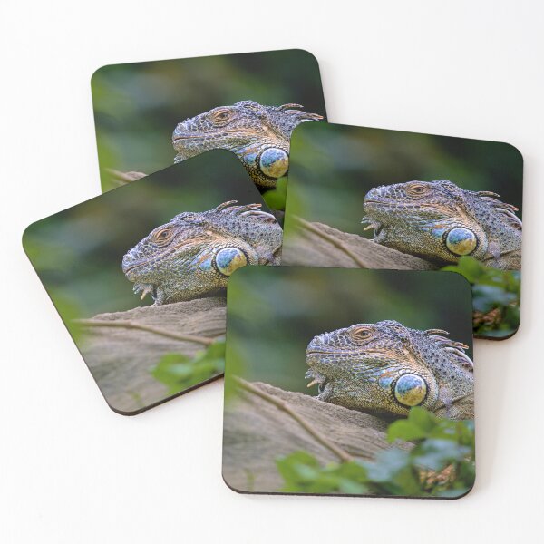 Item preview, iguana in the jungle designed and sold by thompsong03.