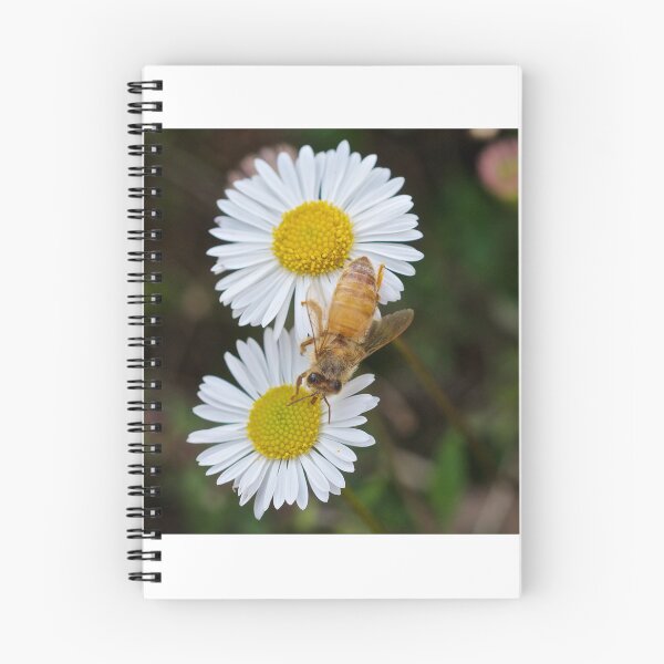 Item preview, Pollination  designed and sold by D-GaP.