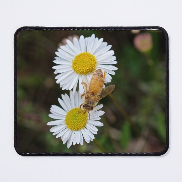 Item preview, Pollination  designed and sold by D-GaP.