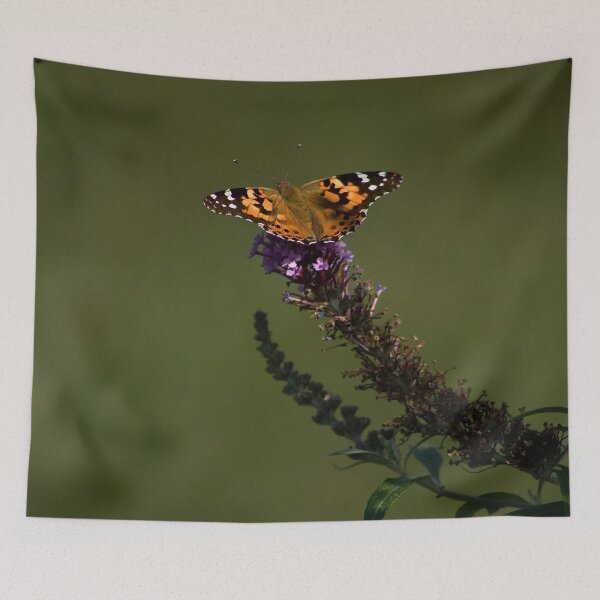 Item preview, Freedom in the Spotlight designed and sold by Adam Bykowski.
