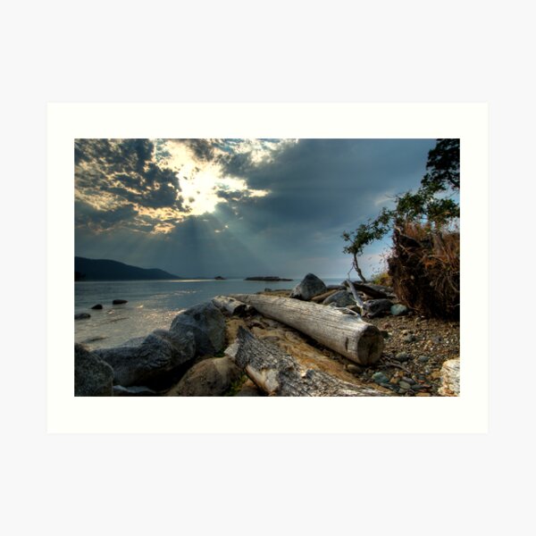 Before the Storm, Cabbage Island Art Print