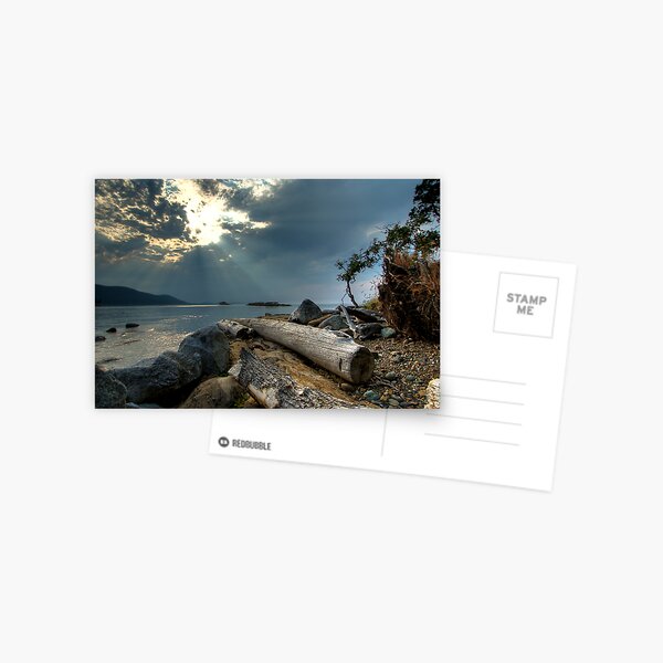 Before the Storm, Cabbage Island Postcard