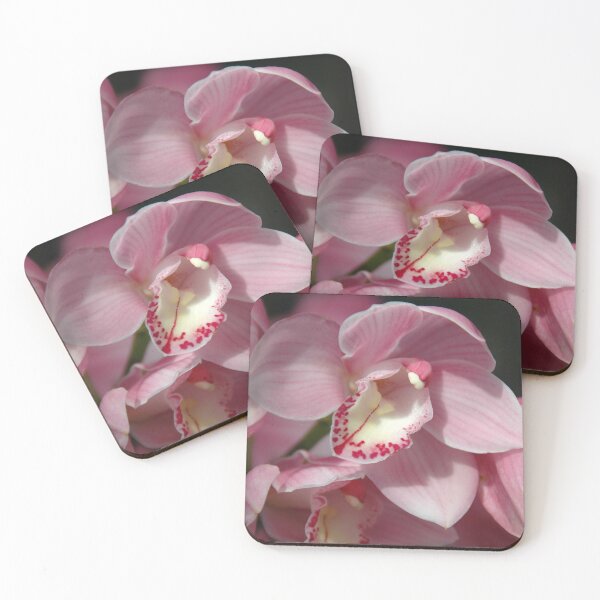 Item preview, pale pink cymbidium designed and sold by okomedesign.