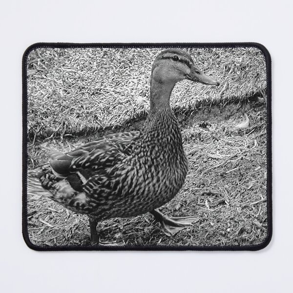 Item preview, Mamma Duck and Babies designed and sold by dabblerscorner.