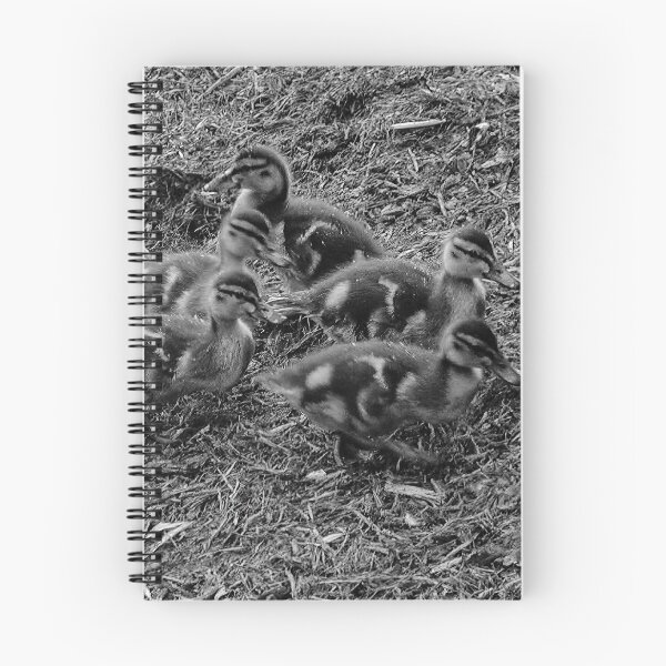 Item preview, Mamma Duck and Babies designed and sold by dabblerscorner.