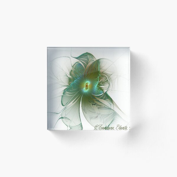papillon Bloc acrylique