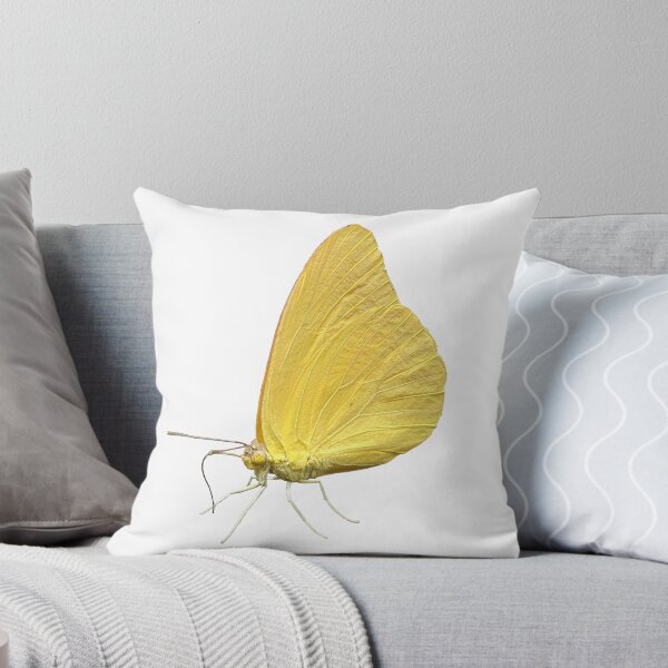 Item preview, Butterfly Large Orange Sulphur (04) designed and sold by SanArtcisco.