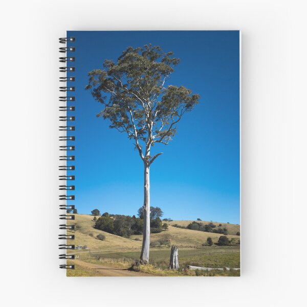Item preview, A Big Tree on a Little Country Road designed and sold by Clare Colins.