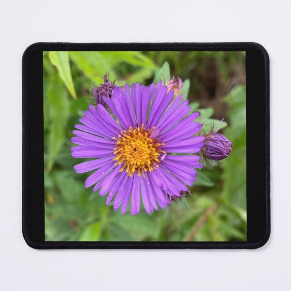 Item preview, Purple flower close up designed and sold by junebugamch.
