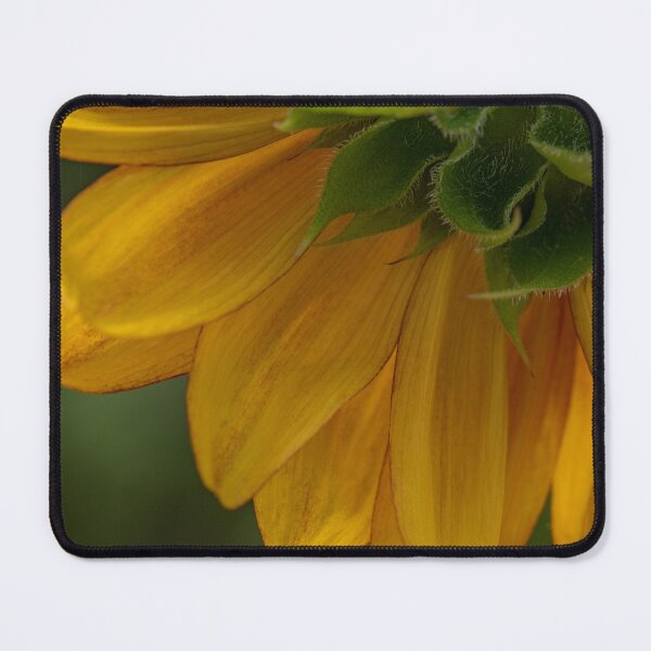 Item preview, Quarter backside of a Sunflower designed and sold by Roxane Bay.