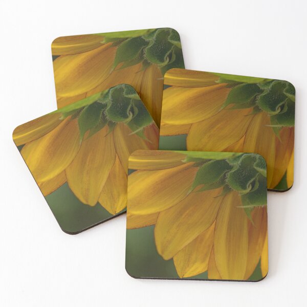 Item preview, Quarter backside of a Sunflower designed and sold by Roxane Bay.