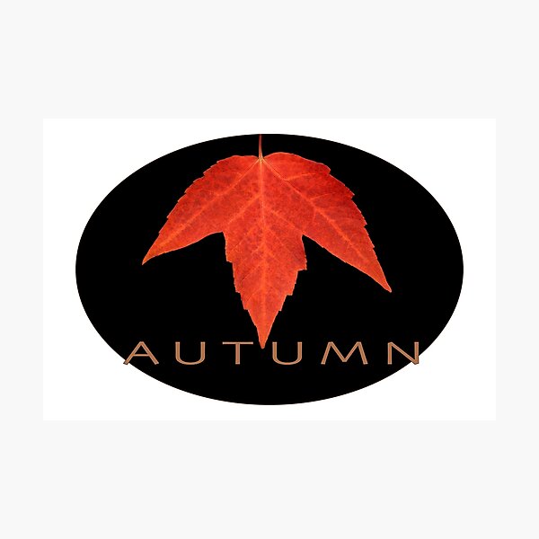Item preview, Autumn designed and sold by wallacegarrison.