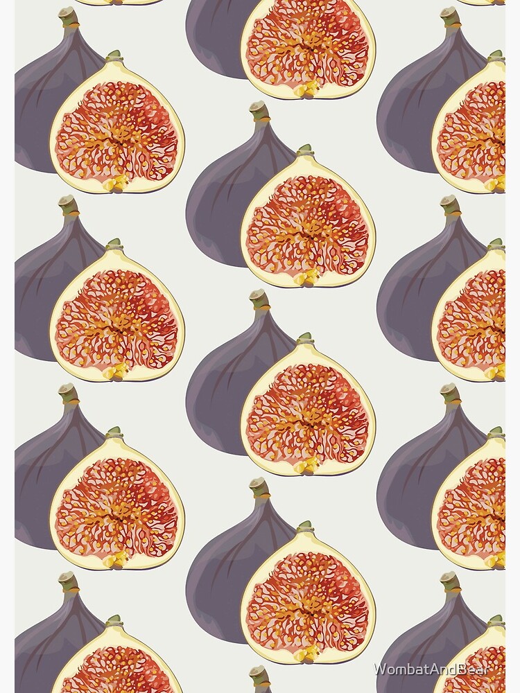 Fig by WombatAndBear