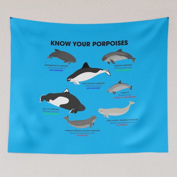 Item preview, Know Your Porpoises designed and sold by Peppermint Narwhal.