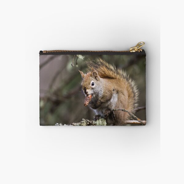 Item preview, Winston the Squirrel designed and sold by Jukka Jantunen.