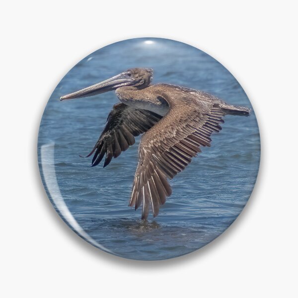 Item preview, Flying Brown Pelican Touches Water with Wing designed and sold by SafariByMarisa.