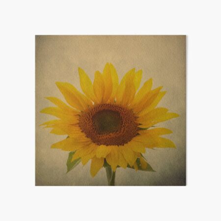 Sun Giant Art Board Print