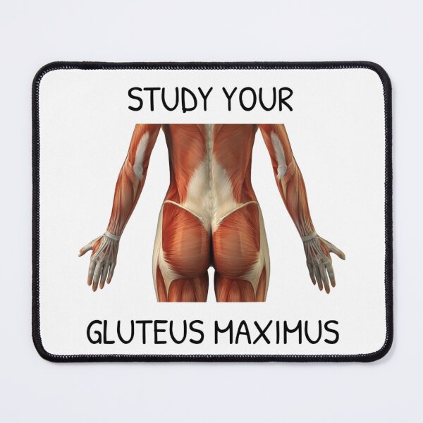 Item preview, Study Your Gluteus Maximus Off designed and sold by Gonkpoke.