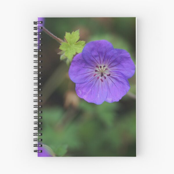 Item preview, Wild Geranium designed and sold by Kirstyshots.