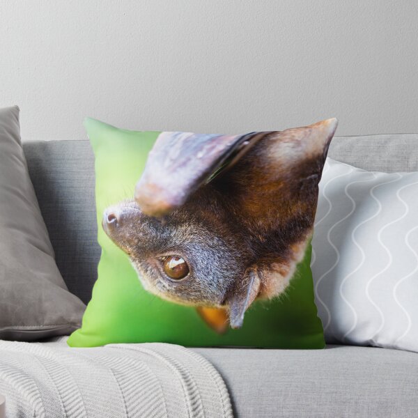 Item preview, Little red Flying-fox designed and sold by stickeebatz.