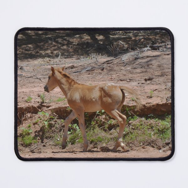 Item preview, The Yearling designed and sold by Tdcc2000.