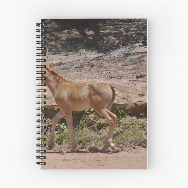 Item preview, The Yearling designed and sold by Tdcc2000.