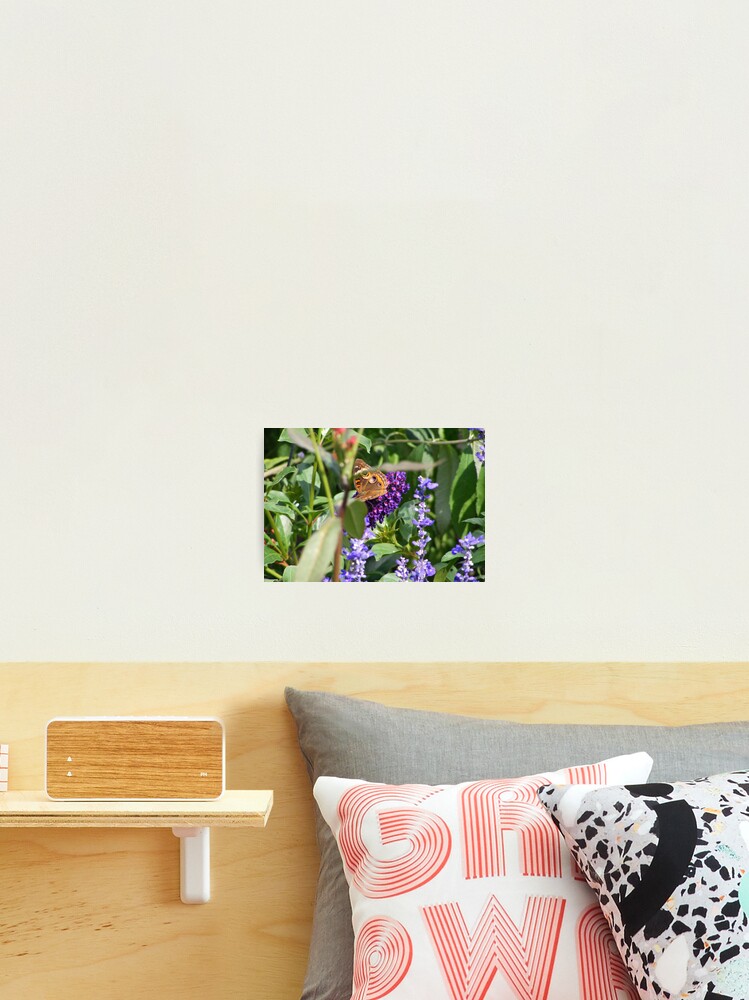 Thumbnail 2 of 3, Photographic Print, Blending In designed and sold by Boo7.