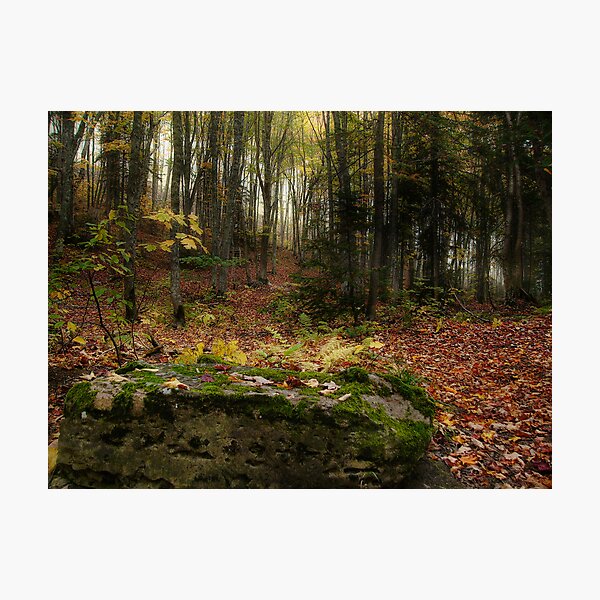 Item preview, Fall Time designed and sold by Gino Caron.