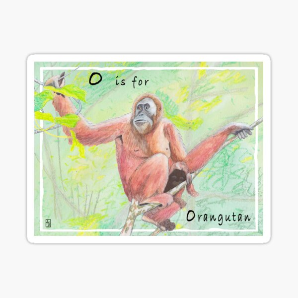 O is for Orangutan Sticker