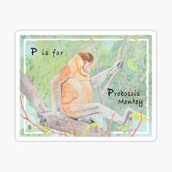 P is for Proboscis Monkey Sticker
