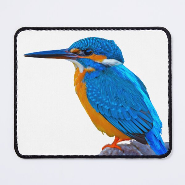 Item preview, King fisher designed and sold by Akondi Serge.