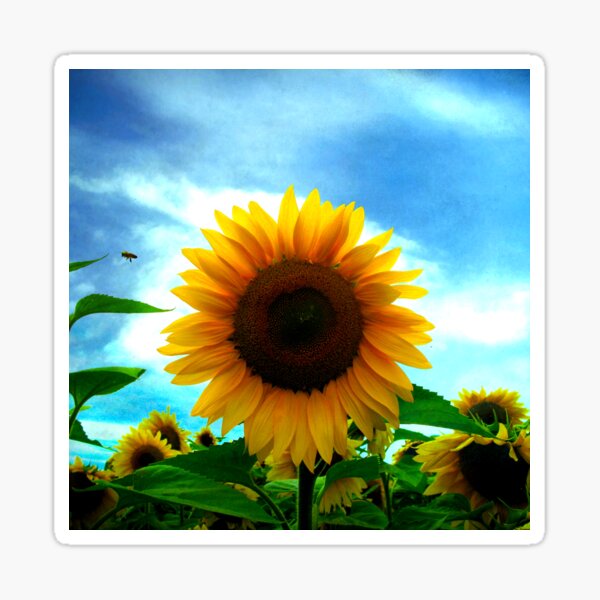 Item preview, The sun will come out tomorrow designed and sold by locustgirl.