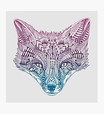 Fox (Clever) Photographic Print