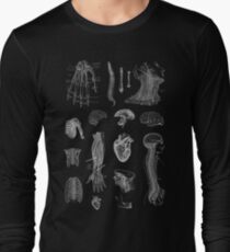 Vintage Anatomy Print Long Sleeve T-Shirt