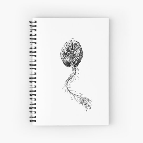 Brain Anatomy Spiral Notebook