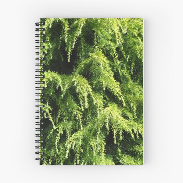 Item preview, Ornate Conifer designed and sold by wiggyofipswich.