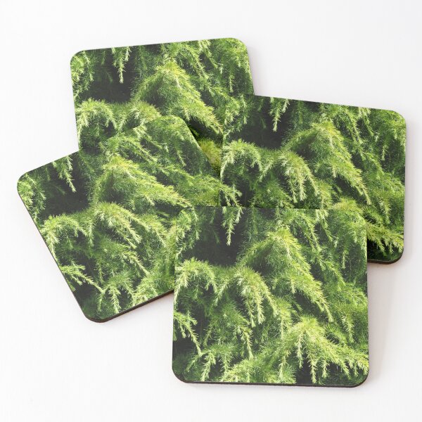 Item preview, Ornate Conifer designed and sold by wiggyofipswich.