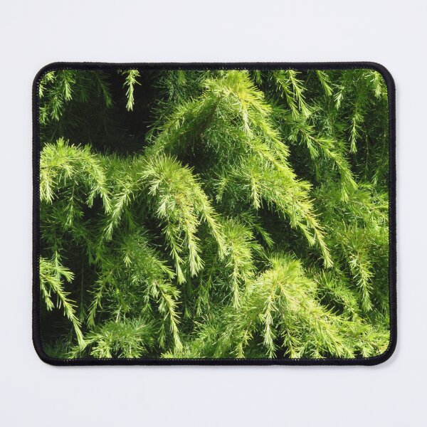 Item preview, Ornate Conifer designed and sold by wiggyofipswich.