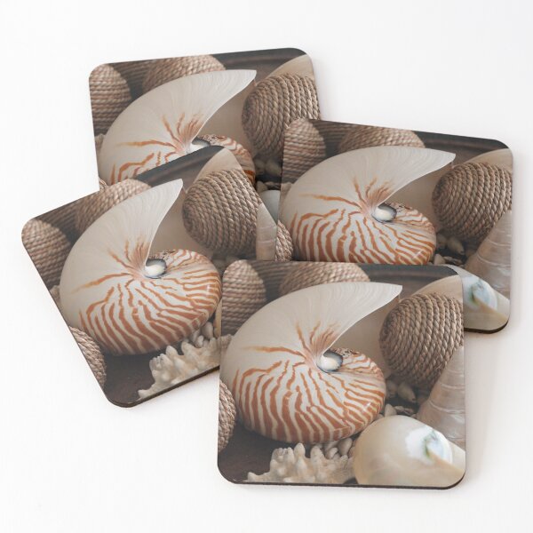 Item preview, Shell Collection designed and sold by Pixsell Travels.