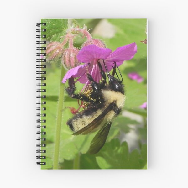 Item preview, Bee On Cranesbill designed and sold by Martha Medford.